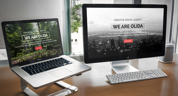 Olida - Creative Parallax One Page WP Vorlage