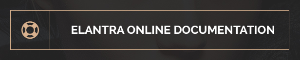 Elantra WordPress 2015 LookBook WebInvader