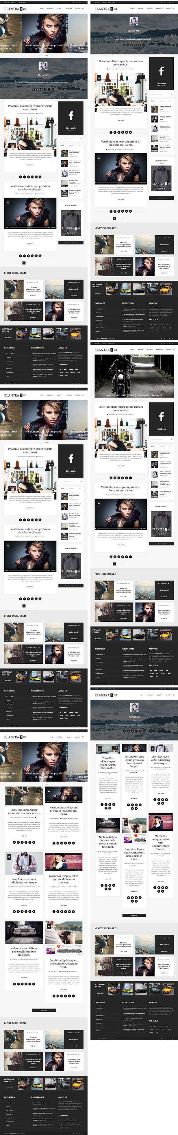 Elantra WordPress 2015 LookBook WebInvader