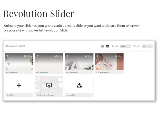 des_07_revolution_slider
