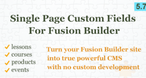 Benutzerdefiniertes Feldelement für Fusion Builder