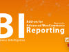 Business Intelligence-Add-On für erweitertes WooCommerce-Reporting