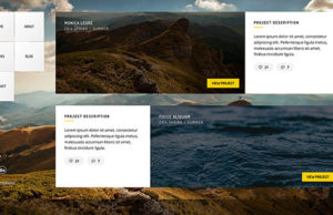 Leore – Kreatives Fotografie-WordPress-Thema