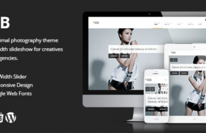 RIB – Responsive Photography WordPress Layout