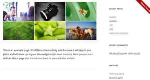 Ribbon Panel WordPress Plugin