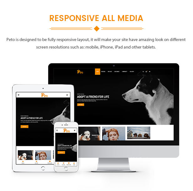 des_05_responsive