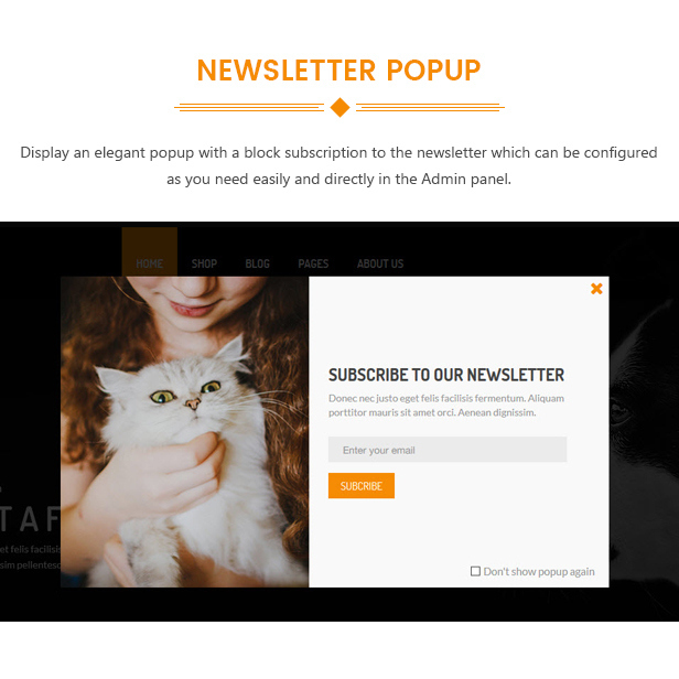 des_08_newsletter_popup