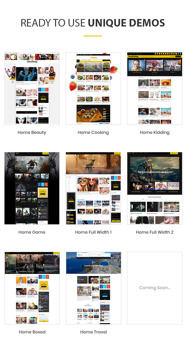 Viem - Video-WordPress-Template