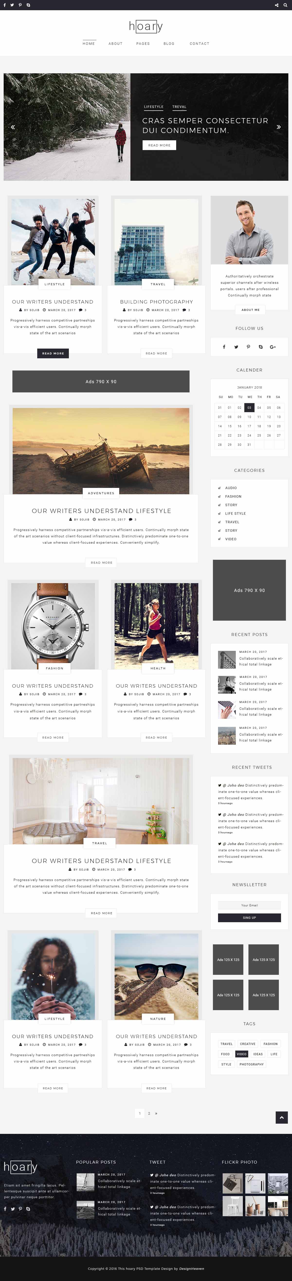 Hoary - Minimales Blog-WordPress-Template