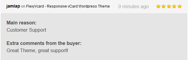 FlexyVcard - Responsive vCard Wordpress Layout