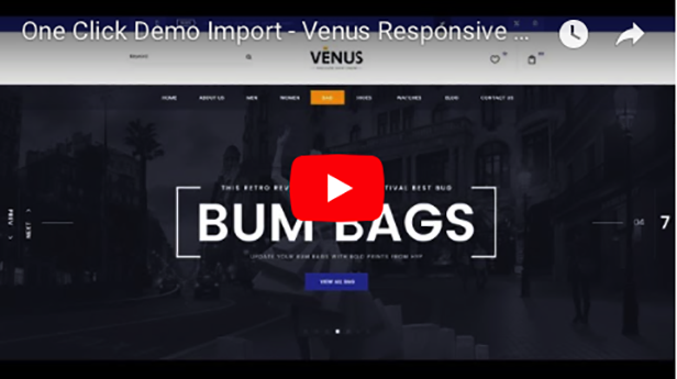Venus - Responsive Mehrzweck-WordPress-Layout