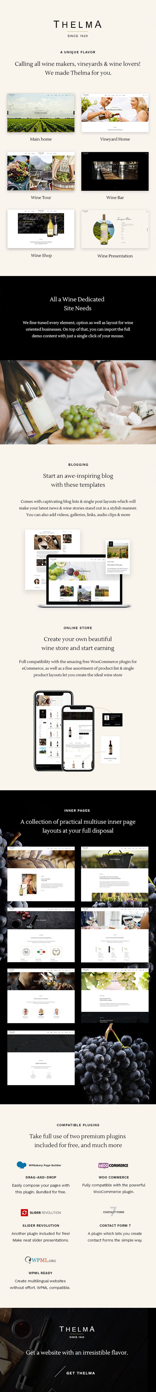 Thelma - Wein und Weingut WordPress Template - 1