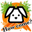 Koalogger - Einfaches WordPress Blog Layout + RTL - 5