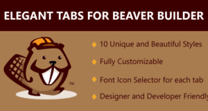 Elegante Tabs für Beaver Builder