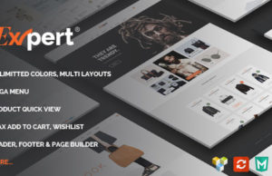 Experte – Reinigen Sie das eCommerce-WordPress-Layout