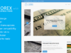 Forex WordPress Vorlage - Exklusiv für Händler