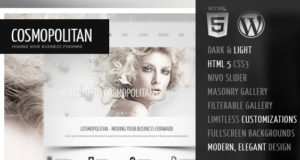 Kosmopolitisch – Business WordPress HTML 5 Template