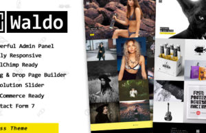 Waldo – Kreatives Portfolio und WooCommerce-WordPress-Template