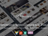 WooAccessories - Responsives WordPress-Vorlage