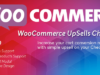 WooCommerce Checkout Upsells