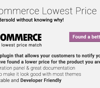 Woocommerce Niedrigster Preis