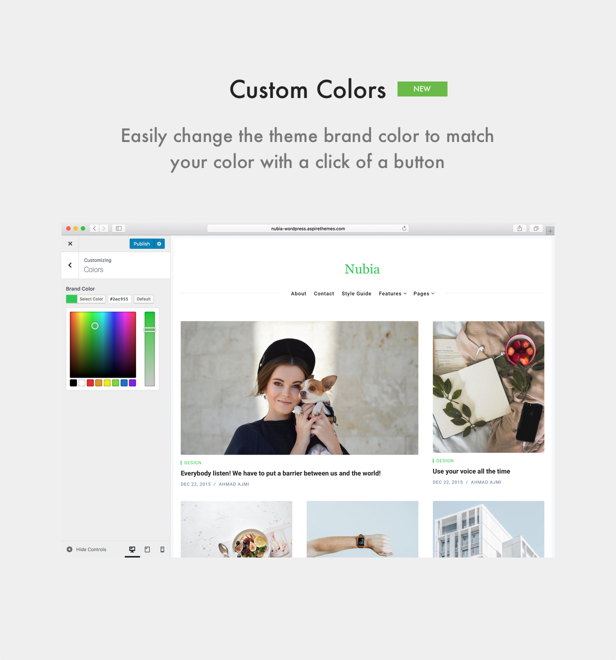 Nubia WordPress Vorlage Brand Farbwechsel