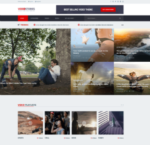 WordPress-Video-Design