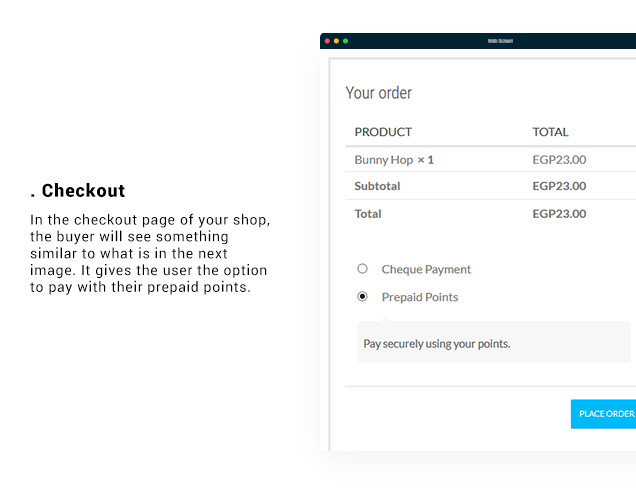 WooCommerce Prepaid-Punkte - Revolutionäre Zahlungsmethode - 13