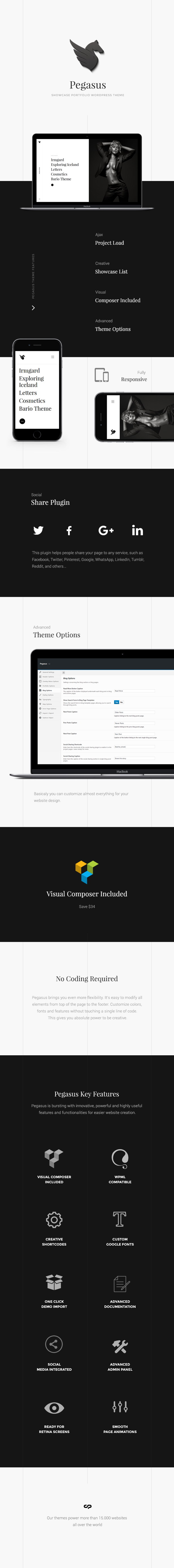 Portfolio Pegasus