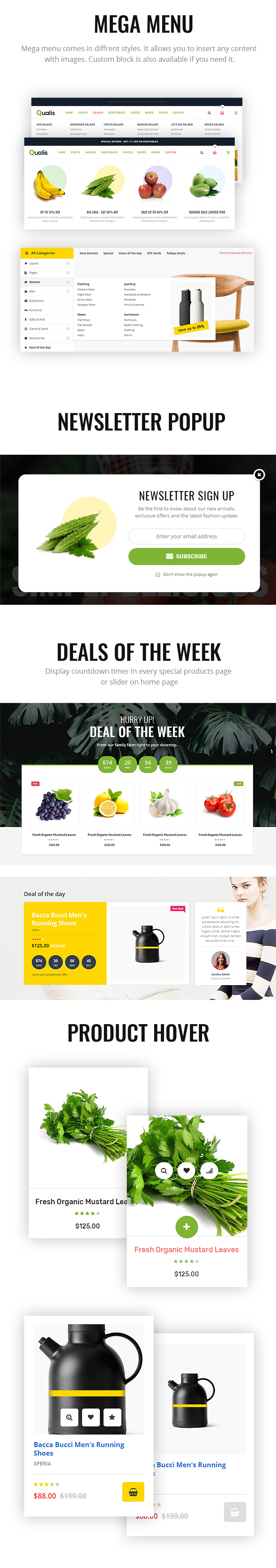Qualis - Responsives E-Commerce-WordPress-Layout für Bio-Lebensmittel - 3