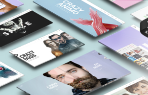 Animo – Kreatives und sauberes Mehrzweck-WordPress-Template