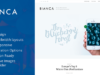 Bianca - Sauberes Blog-WordPress-Template