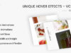Einzigartige Hover-Effekte - VC Addon