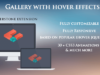 Galerie mit Hover-Effekten