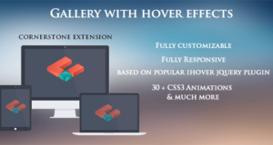 Galerie mit Hover-Effekten