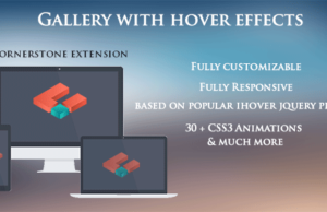 Galerie mit Hover-Effekten