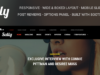 Sally - Responsives WordPress-News-Template
