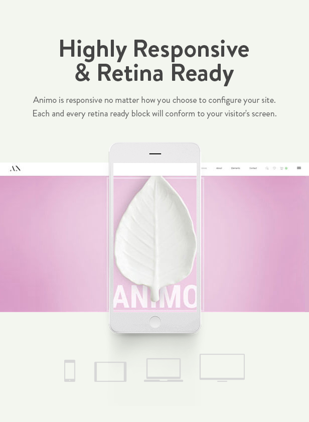 Animo - Kreatives und sauberes Mehrzweck-WordPress-Template - 9