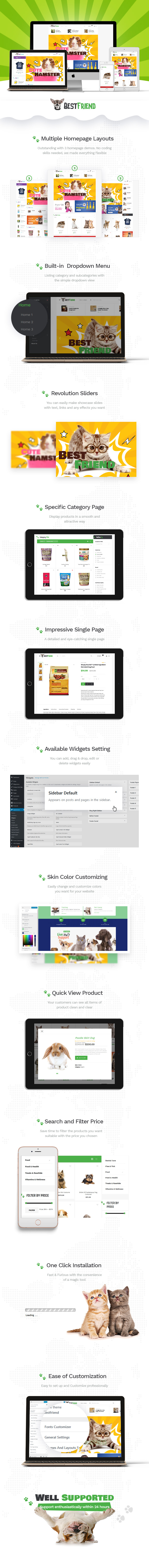 Mehrzweck-WordPress-Vorlage