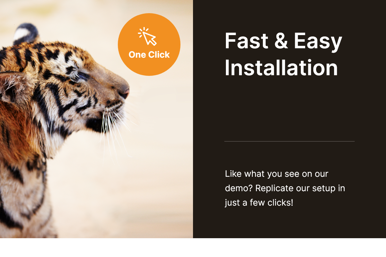 Bonko | Safari & Zoo WordPress Vorlage - 3