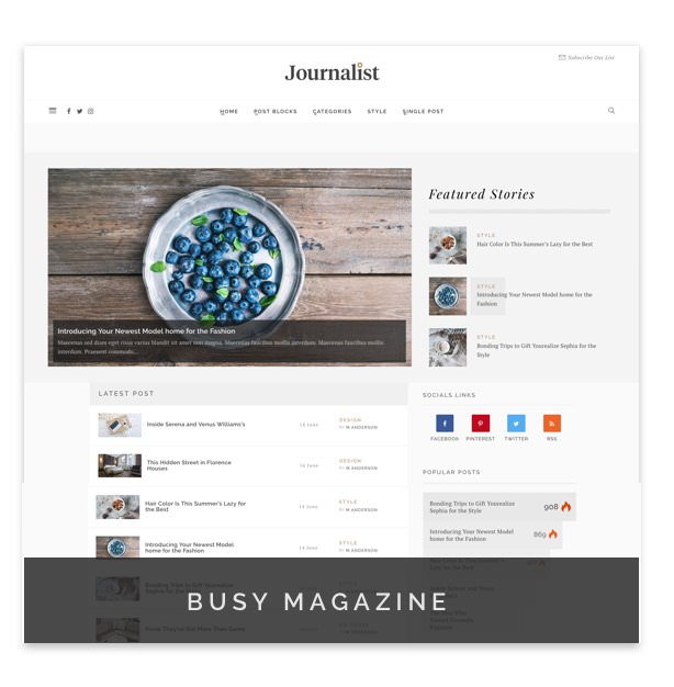 Journalist - WordPress Blog & Magazine Vorlage - 9