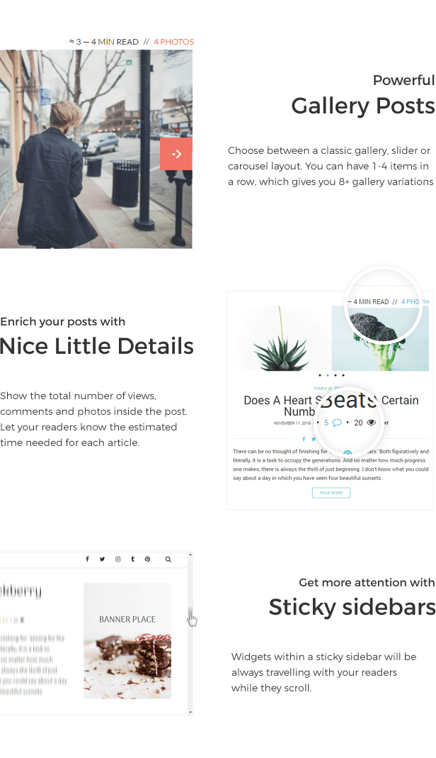 Eva - Premium WordPress Blog und Zeitschriftenthema - 8
