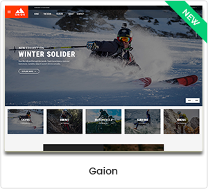 Gaion - Sport Zubehör Shop WordPress WooCommerce Layout