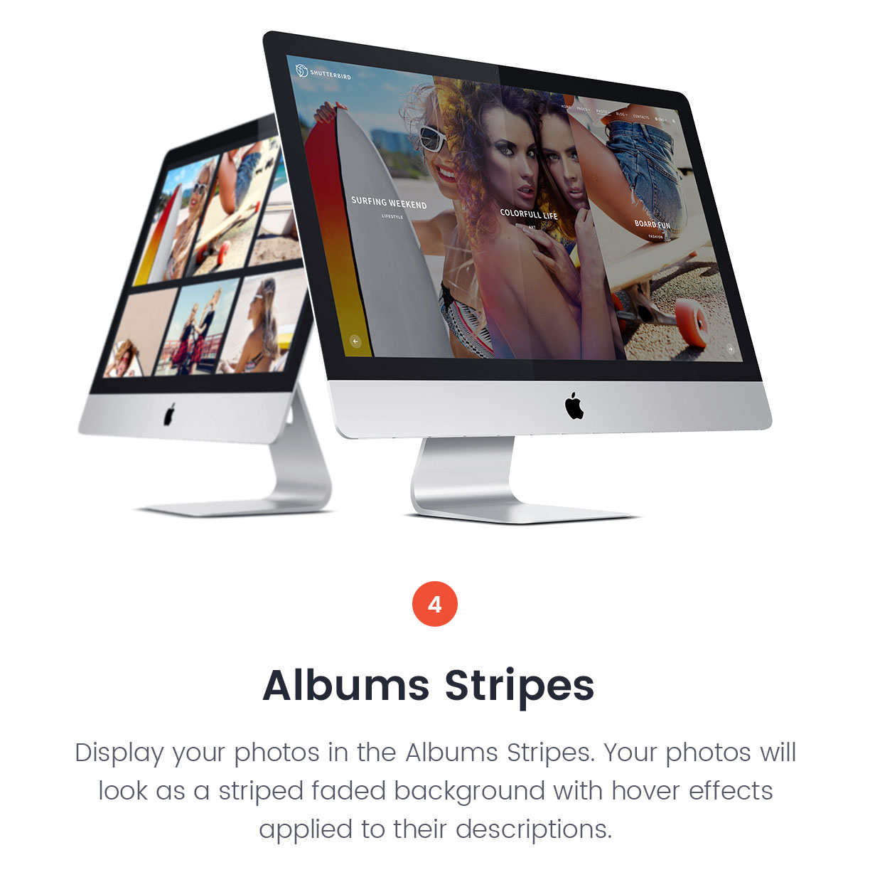 Fotografie WordPress Layout - Shutterbird Fotografie - 6