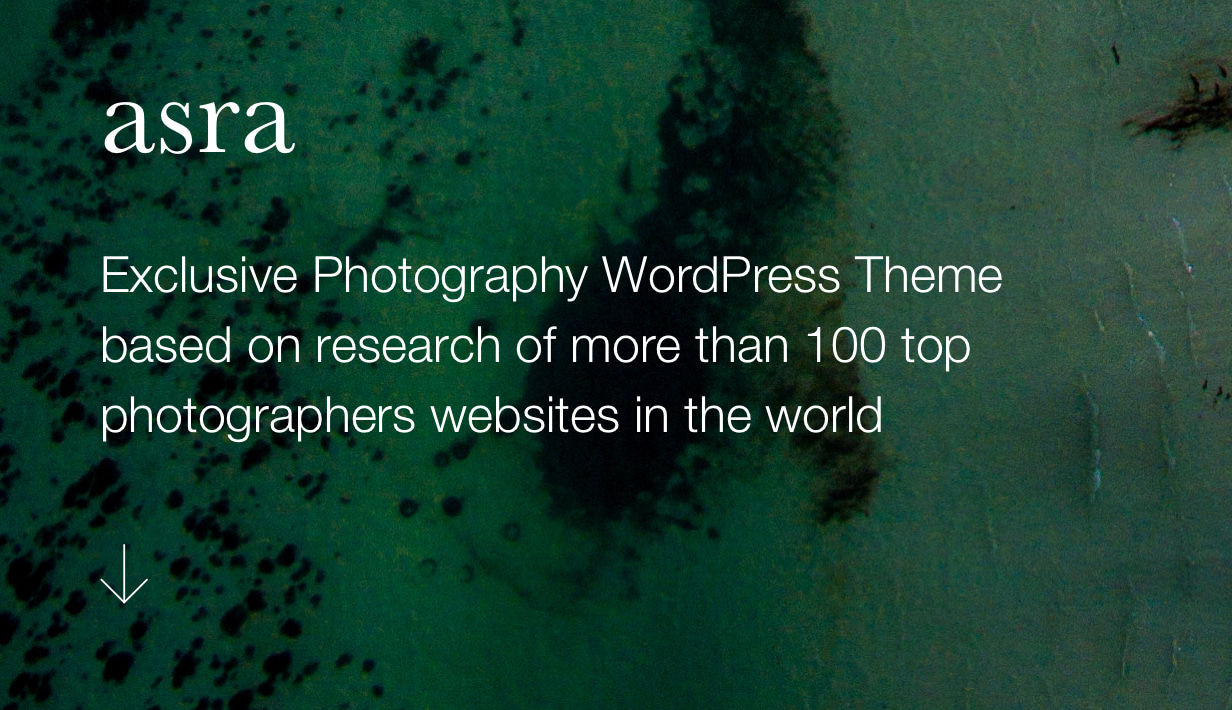 Asra - Minimalistisches Fotografie-Portfolio WordPress-Template - 2