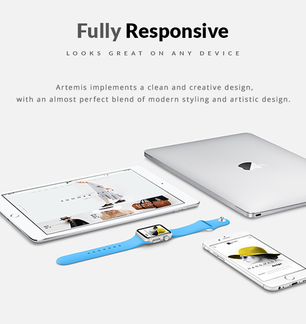 Artemis WooCommerce WordPress Template Responsive