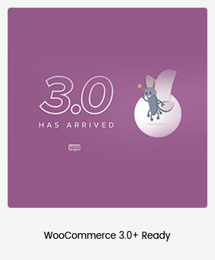 Puca - Optimiertes Mobile WooCommerce Layout - 99