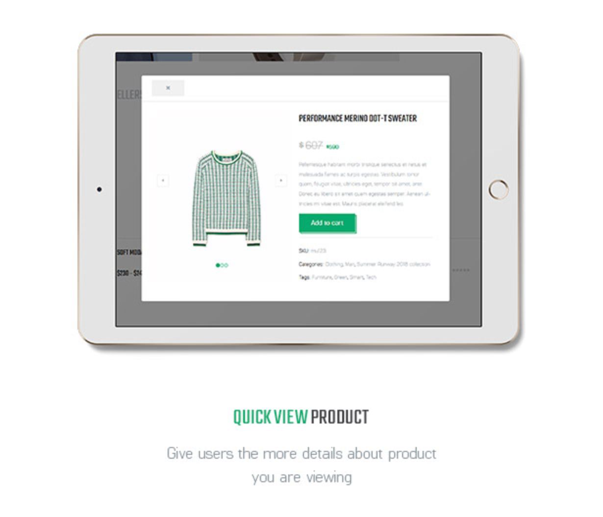 Littlemonsters Produkt Schnellansicht Sport Shop Woocommerce WordPress-Themes