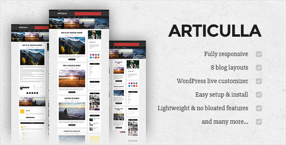 Articulla - Responsives WordPress-Blog-Thema