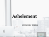 AshElement-Elementor Page Builder Bundle